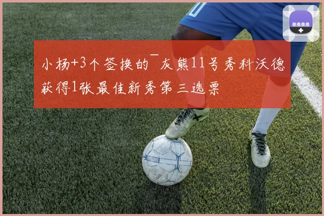 小杨+3个签换的~灰熊11号秀科沃德获得1张最佳新秀第三选票